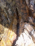 燕子岩南洞只是一個海蝕罅, 右岸石頂下望, 無水&#21867;
DSC04766