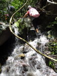DSC05217