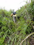 返上去? 其實係咁企的草坡, 倒轉身執草比較省腳力
DSC05259