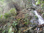 DSC05280