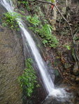DSC05287