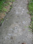 DSC05376