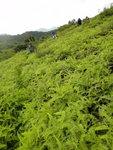 DSC05387
