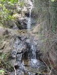DSC06091