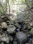 下降走私坳第4條坑
DSC06150