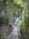 山路左望竟然見到之前上溯的走私坳第3條坑入澗位, 哎吔吔
DSC06152