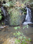 DSC06186