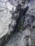 燕子岩洞頂, 其實有好多蝙蝠在飛不過影唔到
DSC09288
