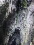 DSC09289