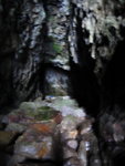 燕子岩洞右邊洞尾, 其實左邊有個暗蝙蝠洞, 入內要開電筒, 不過惡臭都係唔入lu
DSC09300
