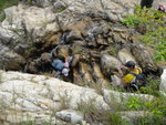蘇哥到瀑頂後, 到另一隊友沿瀑上攀
DSC09566