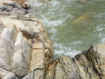 DSC09945