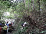 面臨一大壁, 壁前少少右邊有山路
DSC00037