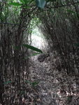 山路
DSC00567