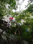 DSC00579