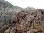 DSC00772