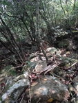 開始見到星期日向上的路標
DSC01124