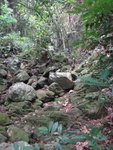 DSC01130