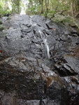 DSC01138