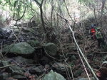 下降仙姑南坑
DSC01141