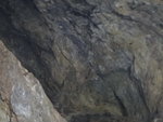 飛鼠岩洞內多蝙蝠, 時其實好多蝙蝠在洞頂飛舞
DSC01242