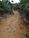 濕泥濘路行到鞋底填滿泥, 又重又跣, 好煩哩
DSC01541