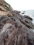 DSC01894