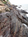 虎山海岸綑邊
DSC01896