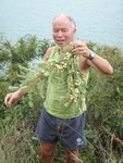 好多油柑子哩
DSC01915