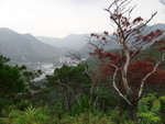 右望見山下的大澳
DSC01925