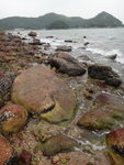 DSC01960