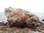 綿羊石或海濱仙羊 DSC01961