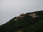 山上大石似唔似一隻猩猩觀天
DSC02574