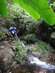 開始上溯大石石澗
DSC03298