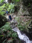 DSC03300