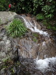 DSC03313
