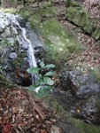 DSC03324