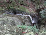 DSC03325