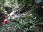 跨澗後在瀑右上攀, 有條繩&#22083;, 安全多
DSC03354