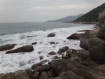 DSC03534