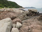 DSC03536