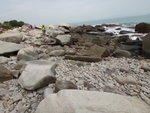 DSC03550