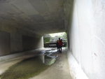 第二度石橋下穿過, 橋面相信是荃錦公路
DSC04157