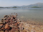 綑馬屎洲西岸
DSC04663