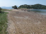 就到連島沙堤
DSC04667