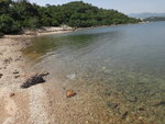 時間尚早, 只11點半, 決定繼續綑埋鹽田仔東岸
DSC04670