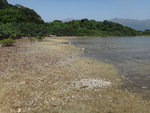 DSC04676
