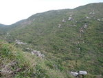 左大雞坑, 右上大嶺峒的山路
DSC04957