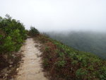 往蚺蛇坳的山路, 前望不見山影因為被雲遮蔽
DSC06473
