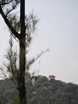 郊遊徑右望見對面山上大石似隻鴨仔
DSC07280